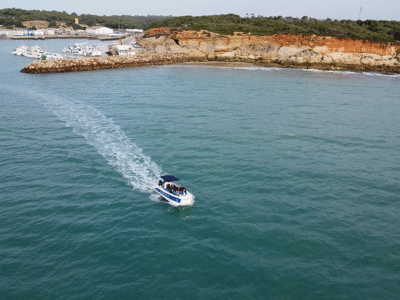 Curso PNB (solo Prácticas de Navegación)