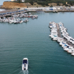 Curso de PNB (teoría online + Prácticas)