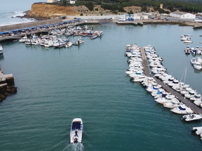 Curso de PNB (teoría online + Prácticas)